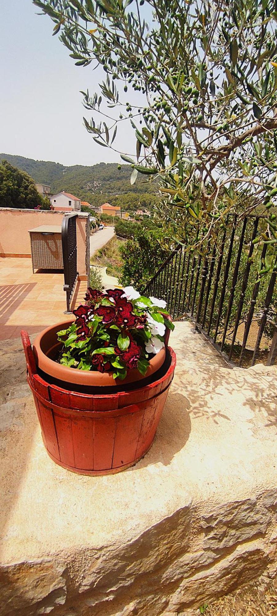 Merlo House Dol Hvar Стари Град Екстериор снимка