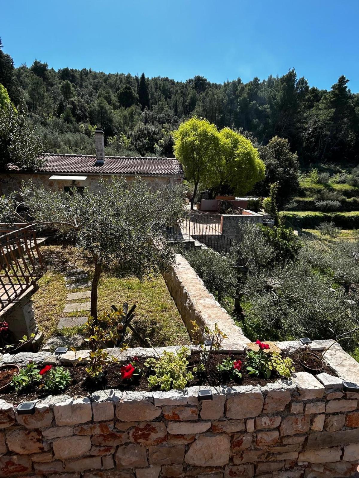 Merlo House Dol Hvar Стари Град Екстериор снимка